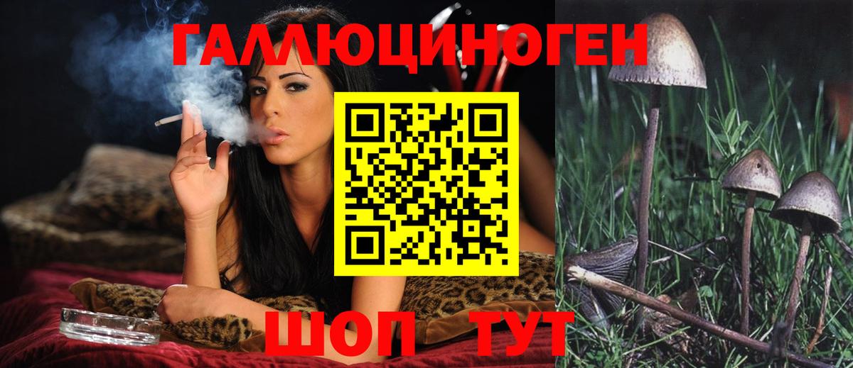 где купить   Псилоцибиновые грибы прущие грибы  Вход с VPN  Ставрополь 